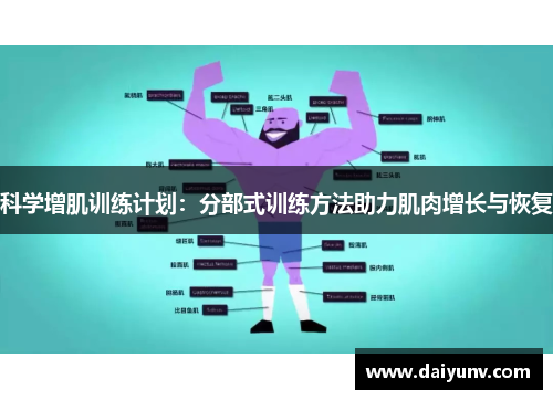 科学增肌训练计划：分部式训练方法助力肌肉增长与恢复