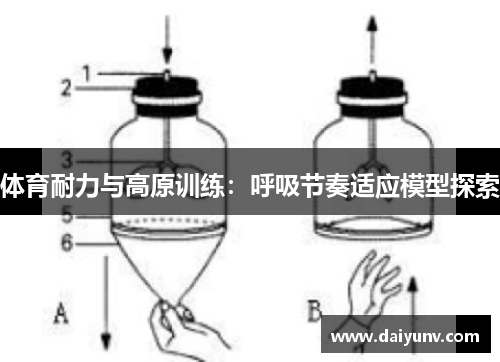 体育耐力与高原训练：呼吸节奏适应模型探索